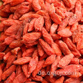 AD, der rote goji Beeren wolfberries Frucht trocknet